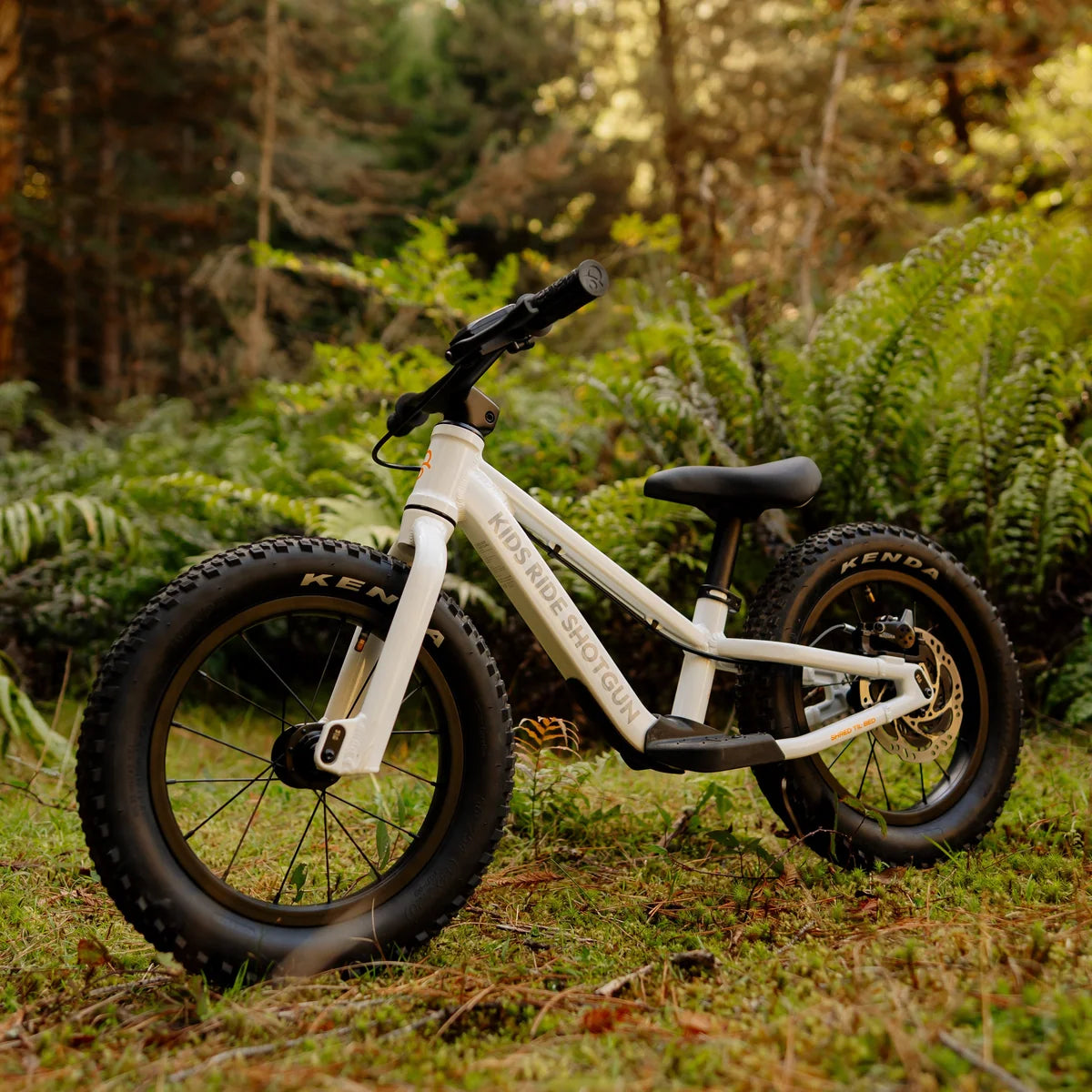 BICICLETA DE EQUILIBRIO OFFROAD CON FRENO MAGURA- DIRT HERO 14