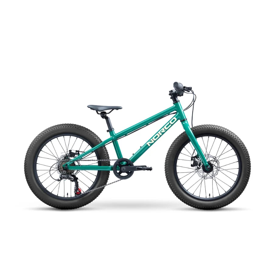 Bicicleta Niño Storm aro  20 Disc Verde Norco